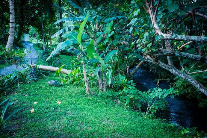 Bali-forest-wedding-venue-Bali-Moon-Wedding