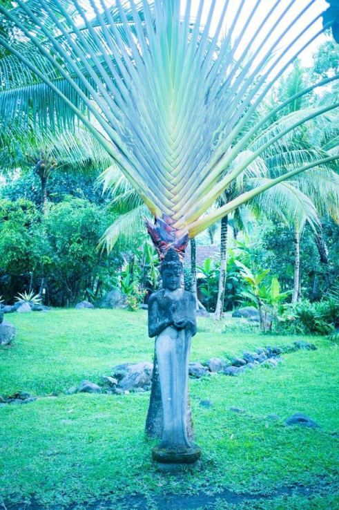 Bali-jungle-wedding-venue-Bali-forest-wedding-venue-Bali-river-side-wedding-venue-Bali-Moon-Wedding