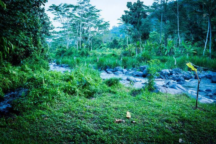 Bali-wedding-venue-Bali-river-side-wedding-venue-Bali-jungle-wedding-venue-Bali-Moon-Wedding